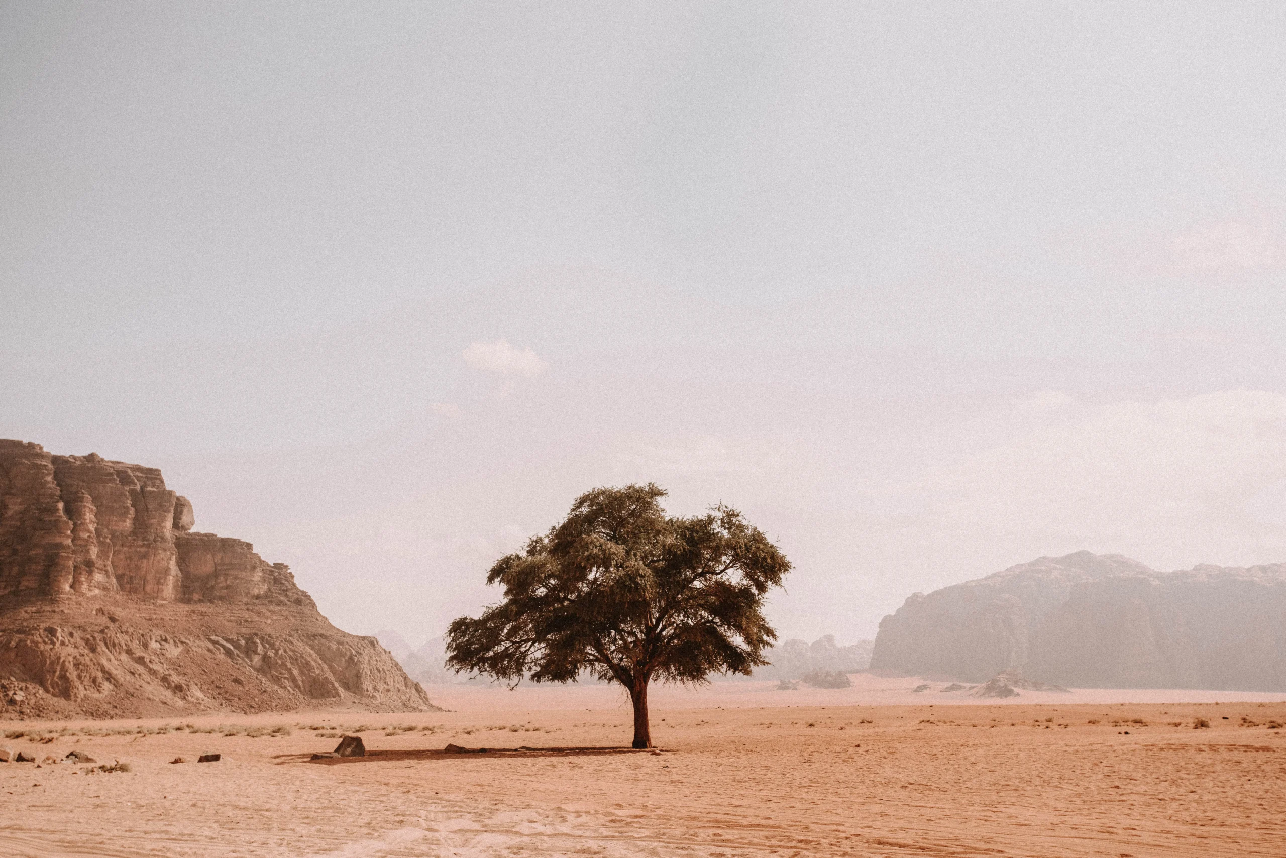 Preset preview
