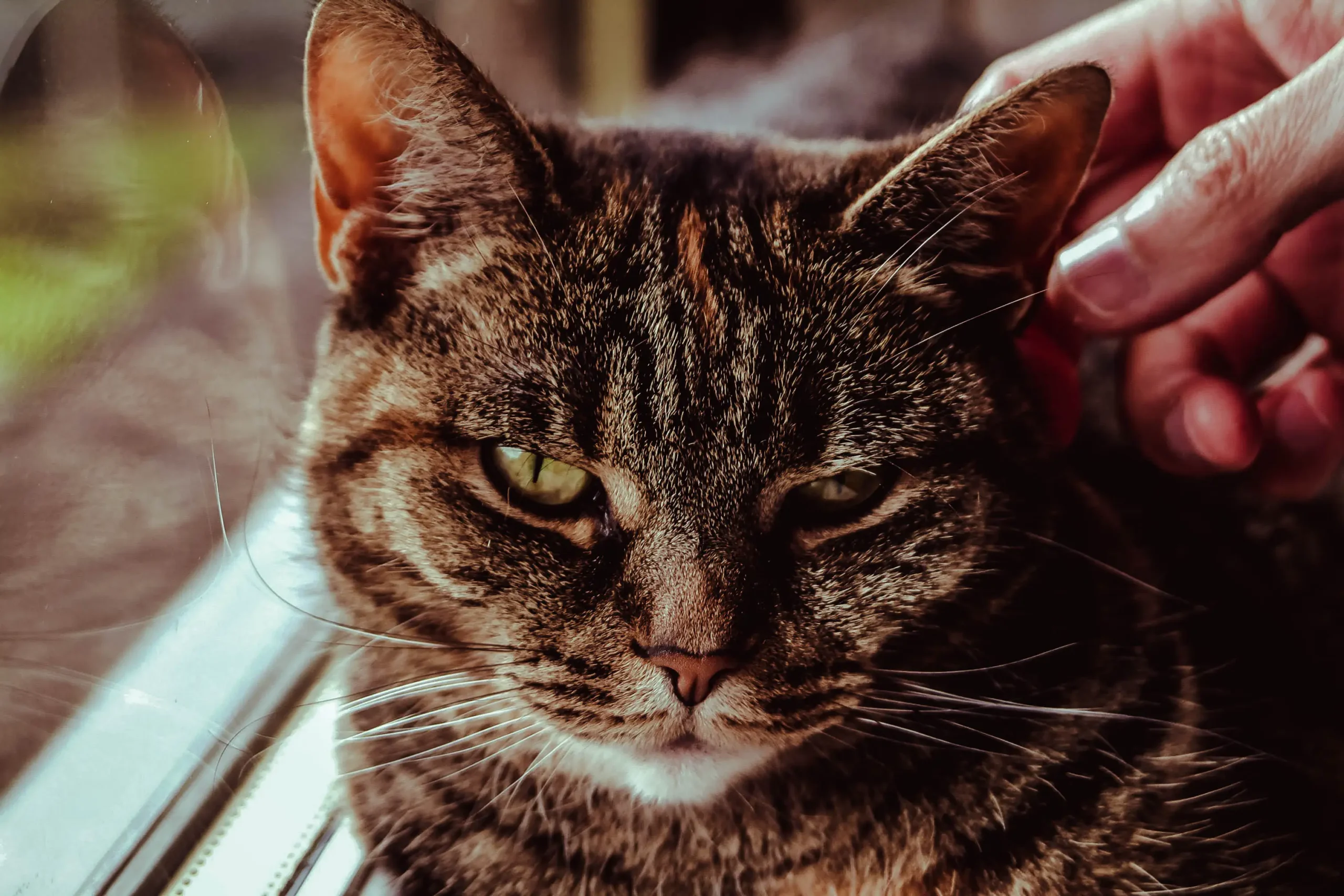Preset preview