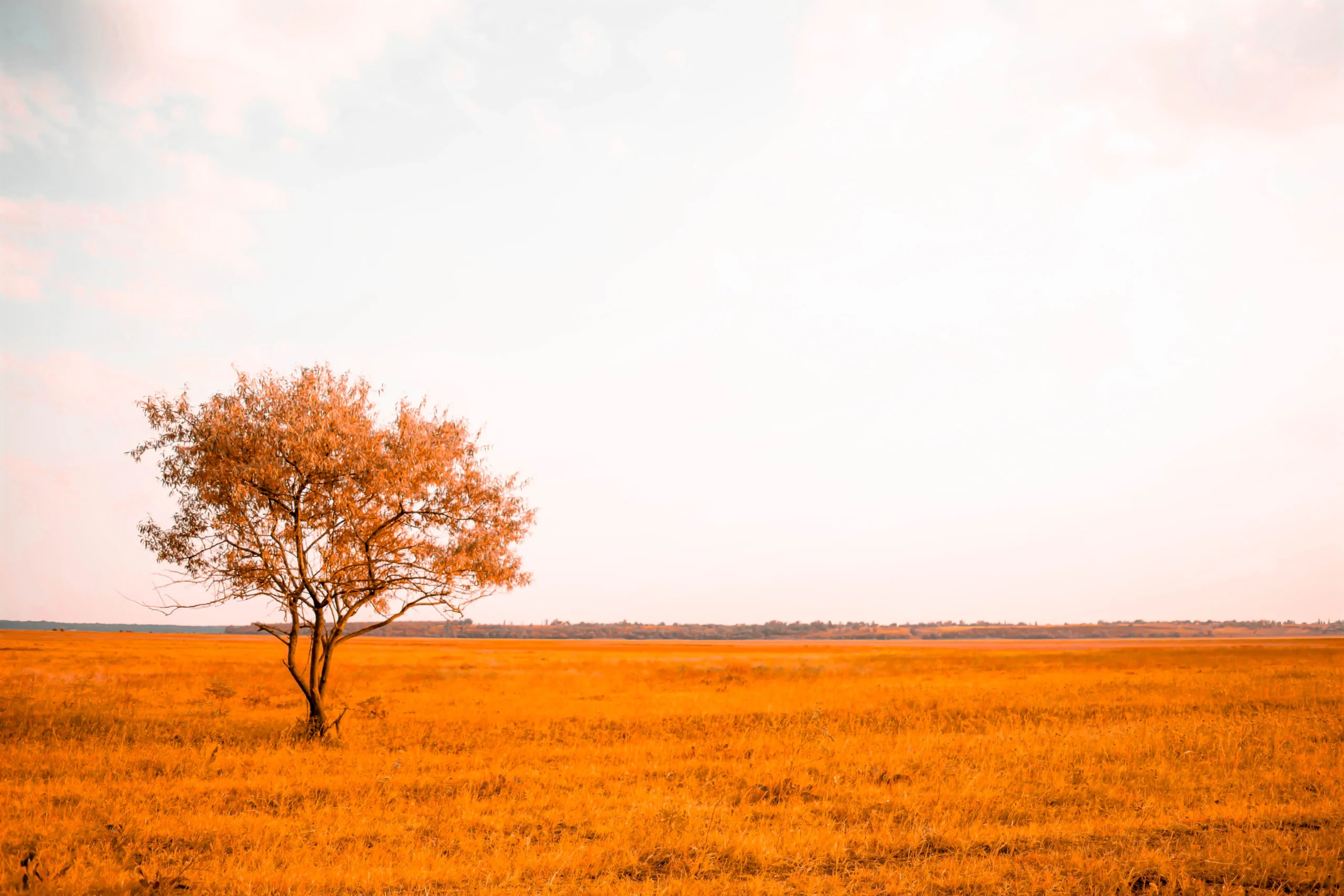 Preset preview